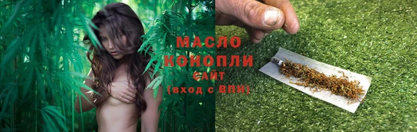 дживик Абаза