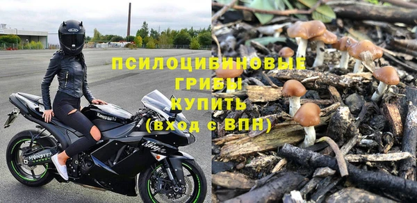 стаф Абдулино