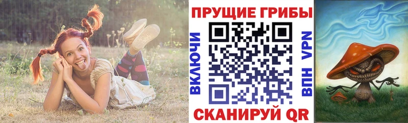 Галлюциногенные грибы мицелий  где купить наркотик  Бежецк 