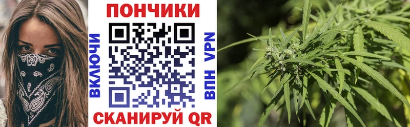 Конопля индика  Бежецк 